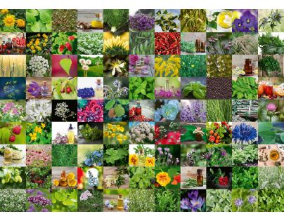 Ravensburger puzzle bylin a koření 1000 dílků