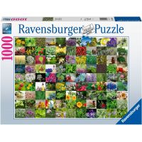 Ravensburger puzzle bylin a koření 1000 dílků 2