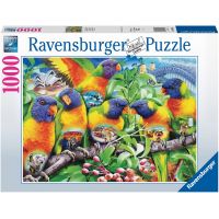 Ravensburger Puzzle Země papoušků 1000 dílků 2