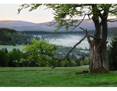 Ravensburger Puzzle Česká kolekce Šumava 1000 dílků