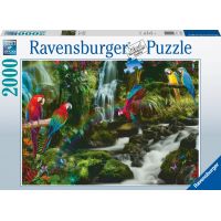 Ravensburger Puzzle Barevní papoušci v džungli 2000 dílků 2