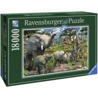 Ravensburger Puzzle Život v divočině 18000 dílků 3