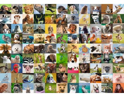 Ravensburger Puzzle 99 legračních zvířat 1000 dílků