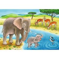 Ravensburger Puzzle Exotická zvířata 2 x 12 dílků 3