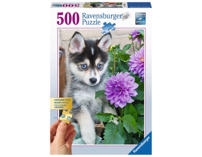 Ravensburger Puzzle Husky 500 dílků