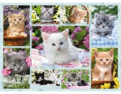 Ravensburger Puzzle Kotě v koši 500 dílků
