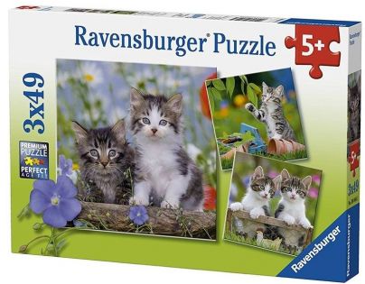 Ravensburger Puzzle Premium Koťata 3 x 49 dílků