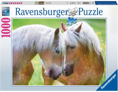 Ravensburger puzzle Úžasný moment 1000 dílků
