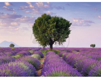 Ravensburger Valensole Francie 500 dílků