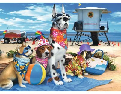 Ravensburger puzzle Vstup na pláž psům zakázán 100 dílků