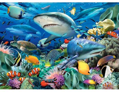 Ravensburger Puzzle Žraločí útes 100 XXL dílků