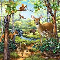 Ravensburger Puzzle Zvířata v Zoo, lese nebo v domě 3 x 49 dílků 3