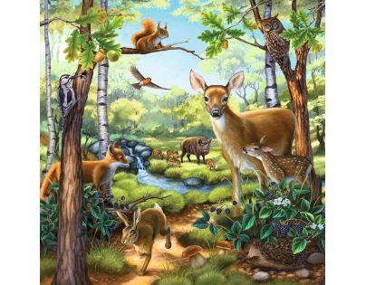 Ravensburger Puzzle Zvířata v Zoo, lese nebo v domě 3 x 49 dílků
