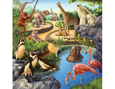Ravensburger Puzzle Zvířata v Zoo, lese nebo v domě 3 x 49 dílků
