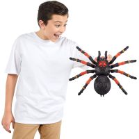 Robo Alive Velká Tarantule 38,5 cm 5