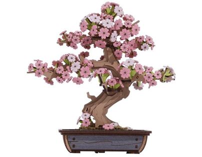 RoboTime 3D dřevěná skládačka Bonsaj sakura