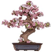 RoboTime 3D dřevěná skládačka Bonsaj sakura