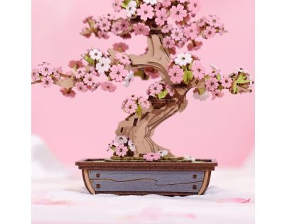 RoboTime 3D dřevěná skládačka Bonsaj sakura