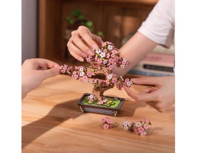 RoboTime 3D dřevěná skládačka Bonsaj sakura