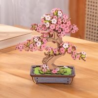 RoboTime 3D dřevěná skládačka Bonsaj sakura 6