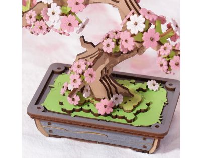 RoboTime 3D dřevěná skládačka Bonsaj sakura