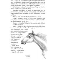 Ronja, dcera loupežníka 6