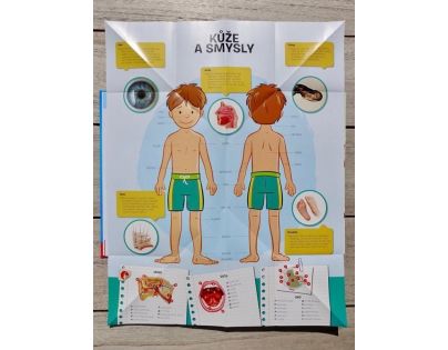 YoYo Books Rozkládací atlas lidského těla