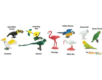 Safari Ltd Tuba Exotické ptactvo