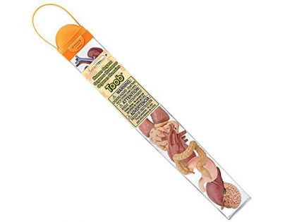 Safari Ltd Tuba Lidské orgány