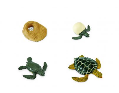 Safari Ltd Životní cyklus Mořská želva