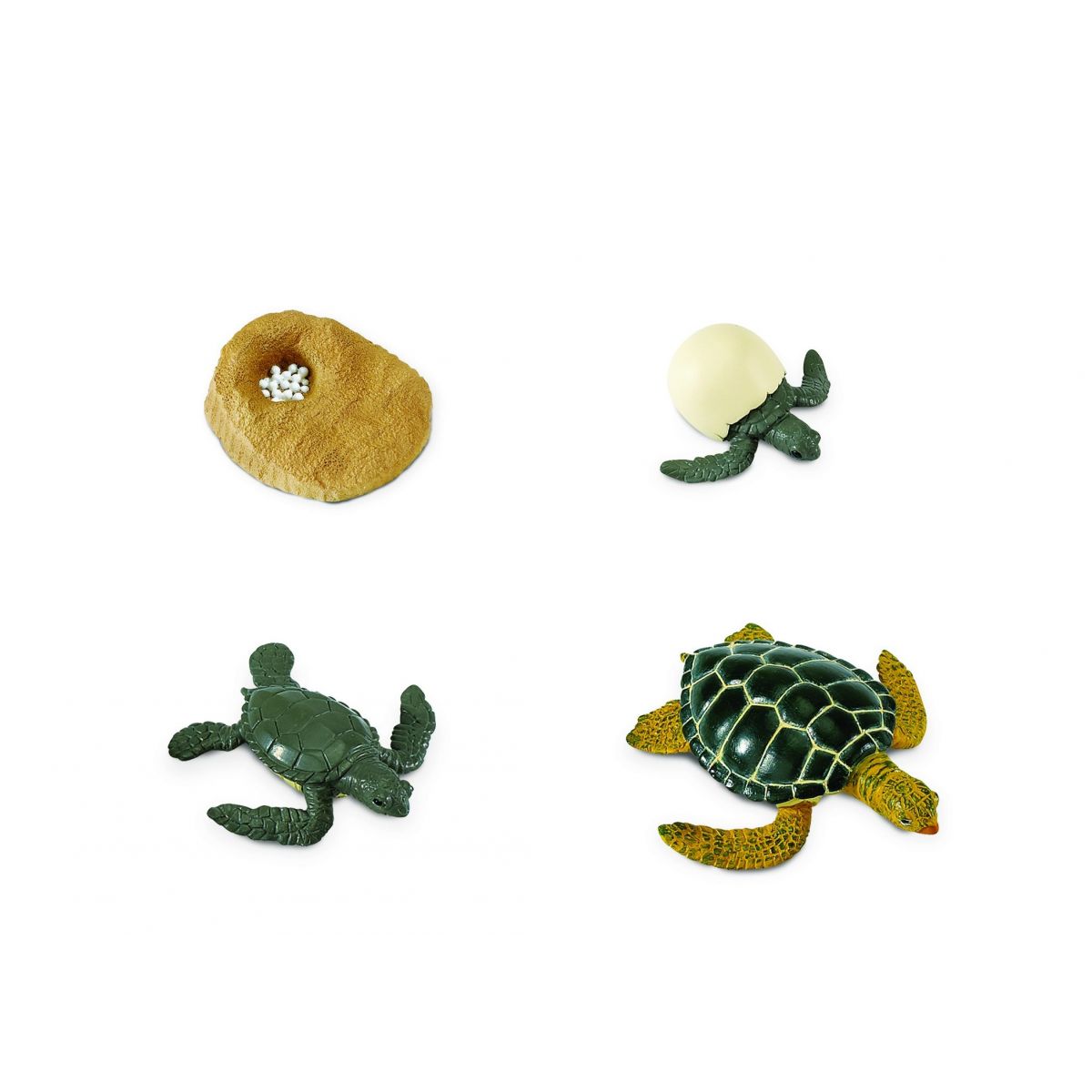 Safari Ltd Životní cyklus - Mořská želva