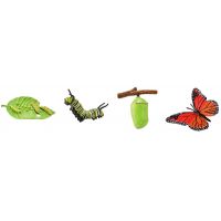 Safari Ltd Životní cyklus Motýl 2