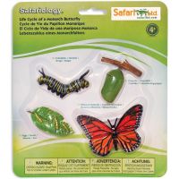 Safari Ltd Životní cyklus Motýl 3