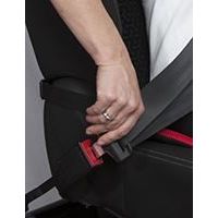 Scamp Bezpečnostní pás pro těhotné Comfort Isofix černý 5