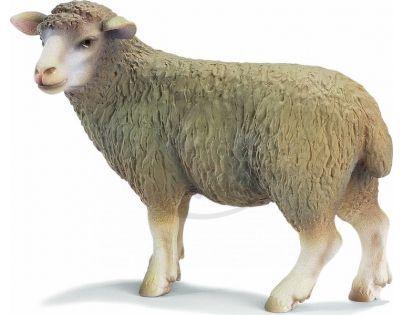 Schleich 13283 Ovce