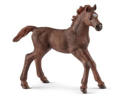 Schleich Anglický plnokrevník hříbě