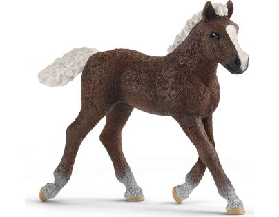 Schleich Hříbě Černého lesa