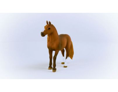 Schleich Zvířátko Klisna plemene Peruánský paso