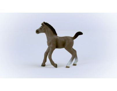 Schleich Zvířátko Hříbě plemene Selle Français