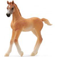 Schleich Zvířátko Arabské hříbě