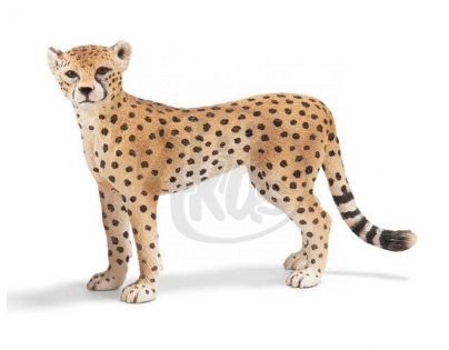 Schleich 14614 - Zvířátko - gepardí samice