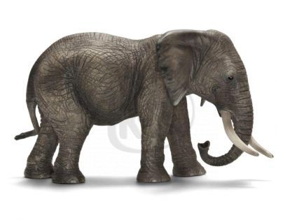 Schleich Slonice africká