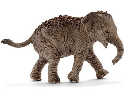 Schleich Asijský slon mládě