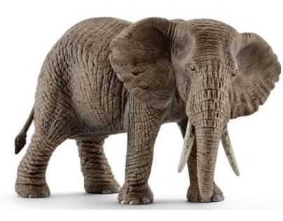 Schleich Slon africký samice