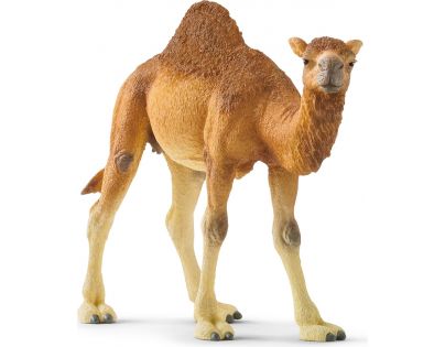 Schleich Dromedár