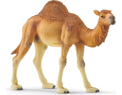 Schleich Dromedár