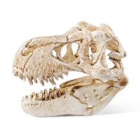 Schleich 42259 Prehistoričtí predátoři a lebka T-Rexe 5