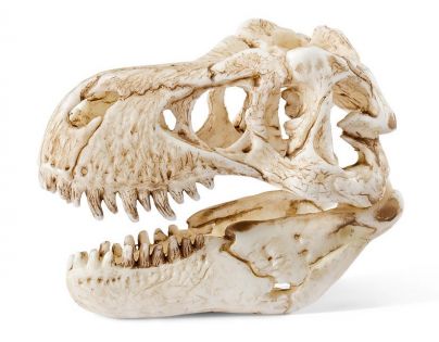 Schleich 42259 Prehistoričtí predátoři a lebka T-Rexe