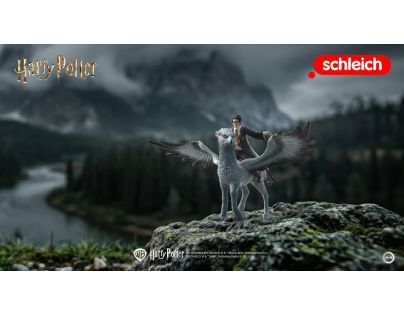 Schleich Harry Potter -Harry Potter na Klofanovi