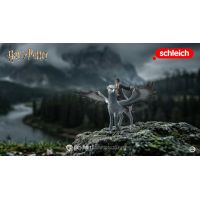 Schleich Harry Potter -Harry Potter na Klofanovi 3